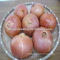 Red Onion 2012 Crop